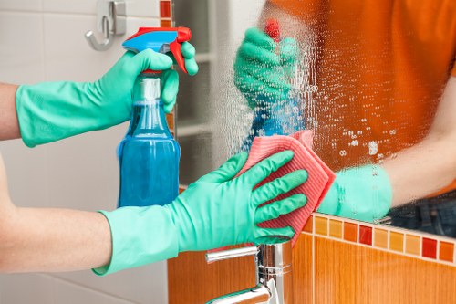 Move out cleaning supplies ready for a deep clean