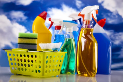 Professional one off cleaning service in a bright living room