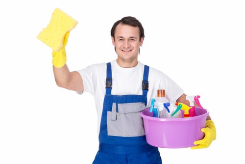 Professional carpet cleaning in a living room