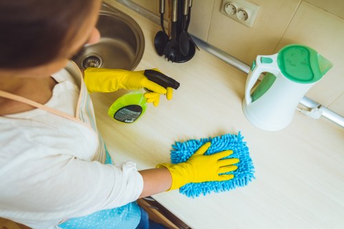 Domestic cleaning essentials in a modern home