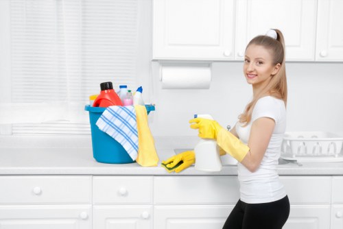Cleaning supplies used for residential and commercial window cleaning