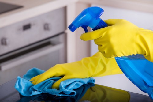 Professional cleaning of a kitchen in Clapham