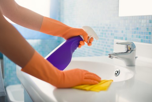 Professional sofa cleaning process on a couch