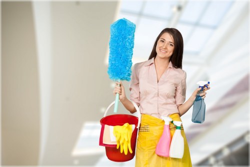 Cleaning supplies for regular home cleaning in Clapham