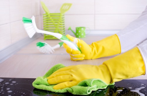 Professional upholstery cleaning for a fabric sofa in a bright living room