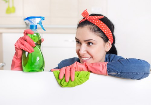 Detailed deep cleaning of common home areas and surfaces