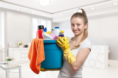 Clean and organized home interior after domestic cleaning