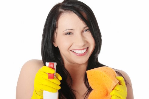 Steam cleaning equipment used for deep upholstery cleaning on a sofa