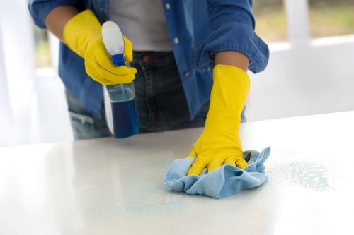 Professional domestic cleaning tools and eco-friendly products