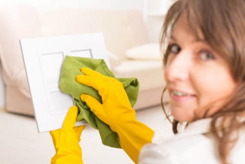 Room-by-room domestic cleaning tasks and supplies